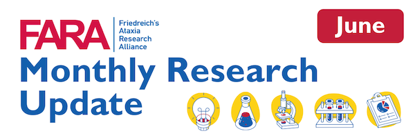 Research news banner image
